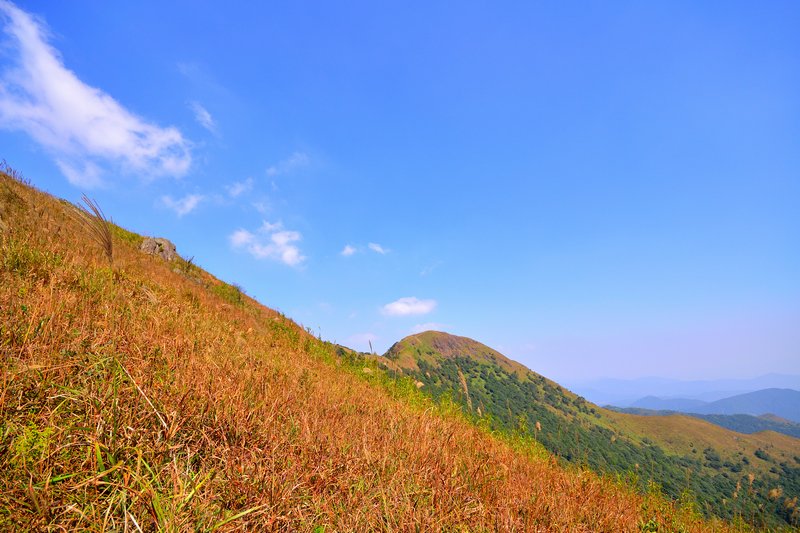 登高白云嶂,挑战千米山峰